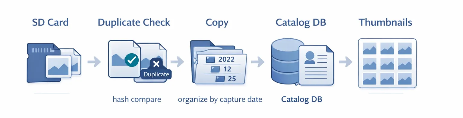 Import flow diagram