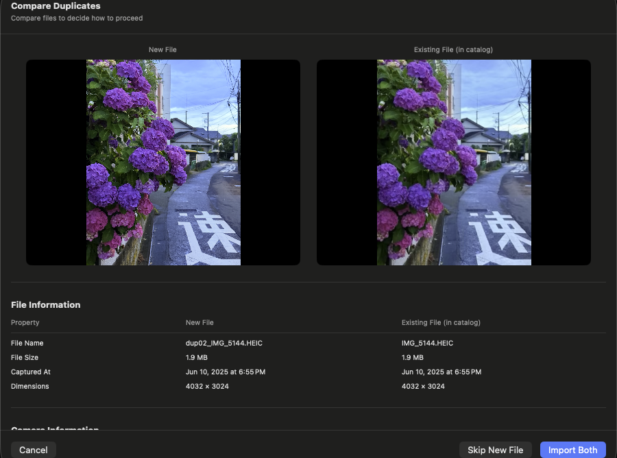 Duplicate comparison screen showing preview, metadata comparison, and decision buttons