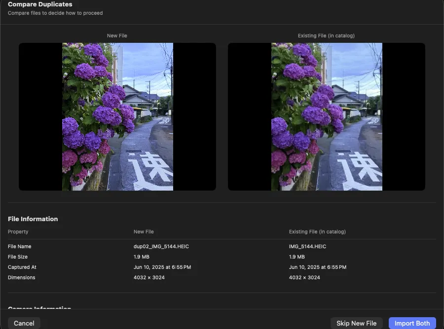 Duplicate comparison screen showing preview, metadata comparison, and decision buttons