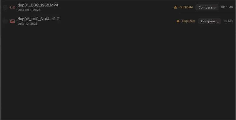 Duplicate file list display