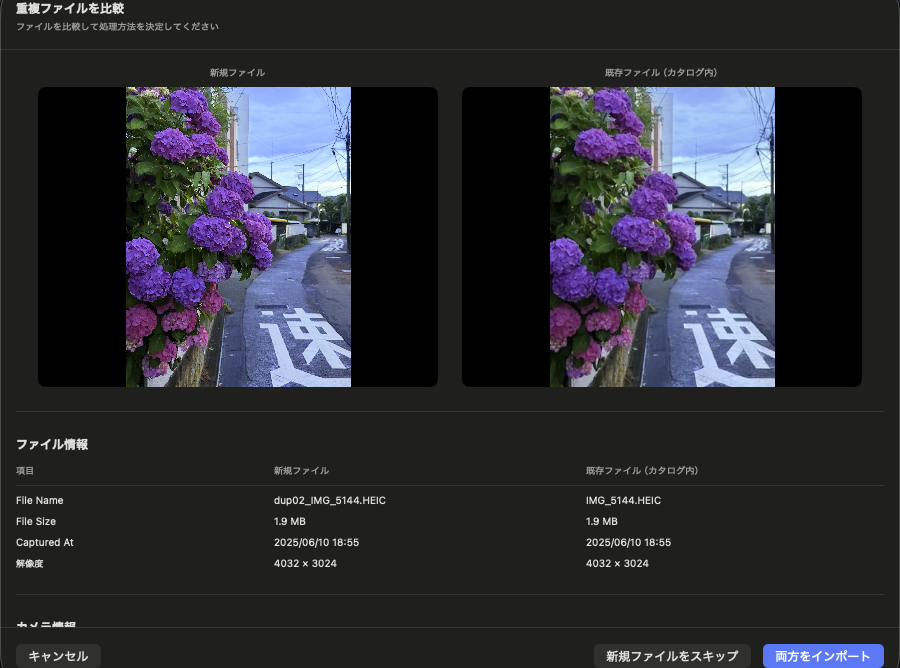 重複ファイル比較画面（左: 新規ファイル、右: 既存ファイル、メタデータ比較、判断ボタン）