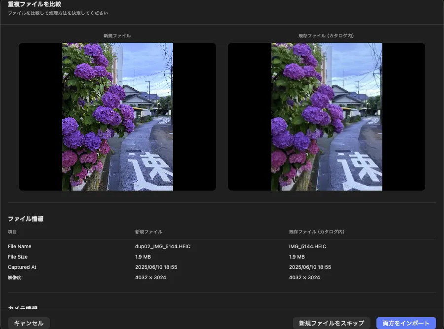 重複ファイル比較画面（プレビュー、メタデータ比較、判断ボタン）
